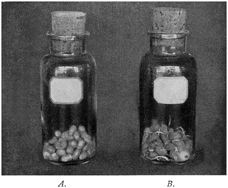 Fig. 36.