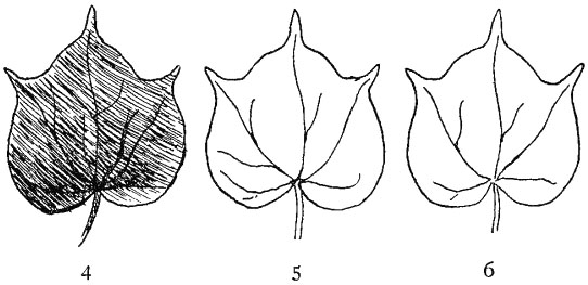 Fig. 62.