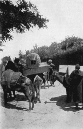 A MOORISH CARAVAN.